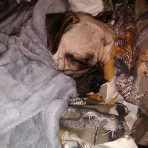 Meet your Posher, Aiden